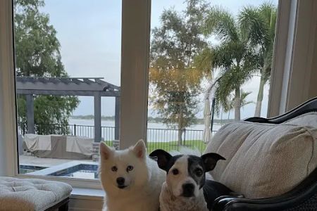 Sebring Animal Hospital