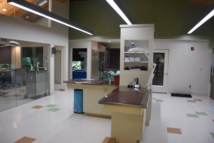 Coastal Veterinary Surgical Specialists, Inc.: Kirsch John DVM 12