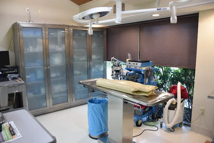 Coastal Veterinary Surgical Specialists, Inc.: Kirsch John DVM 12