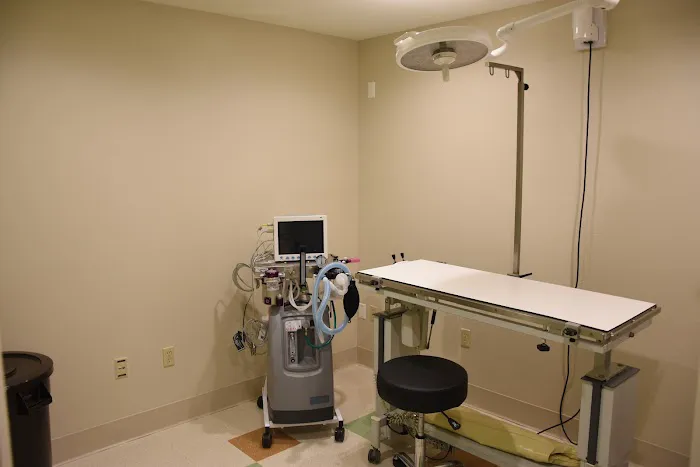 Coastal Veterinary Surgical Specialists, Inc.: Kirsch John DVM 12