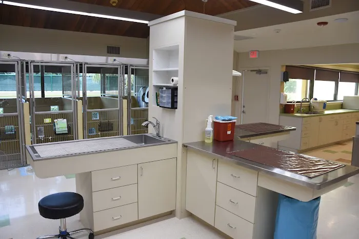 Coastal Veterinary Surgical Specialists, Inc.: Kirsch John DVM 12