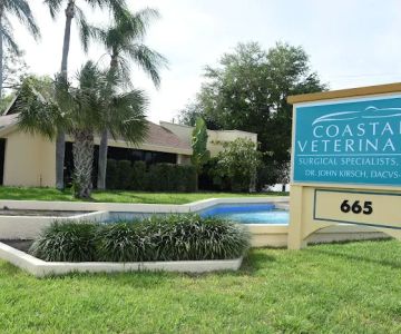 Coastal Veterinary Surgical Specialists, Inc.: Kirsch John DVM