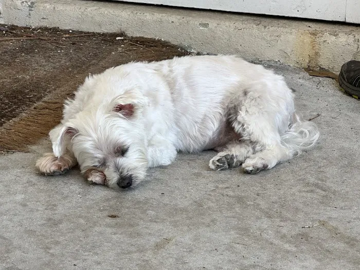Nokomis Veterinary Clinic 12