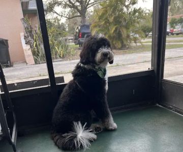 Vetco Vaccination Clinic