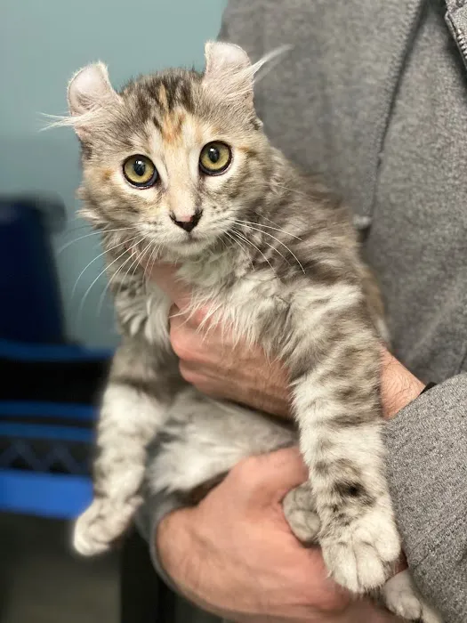 Ashburn Village Animal Hospital 12
