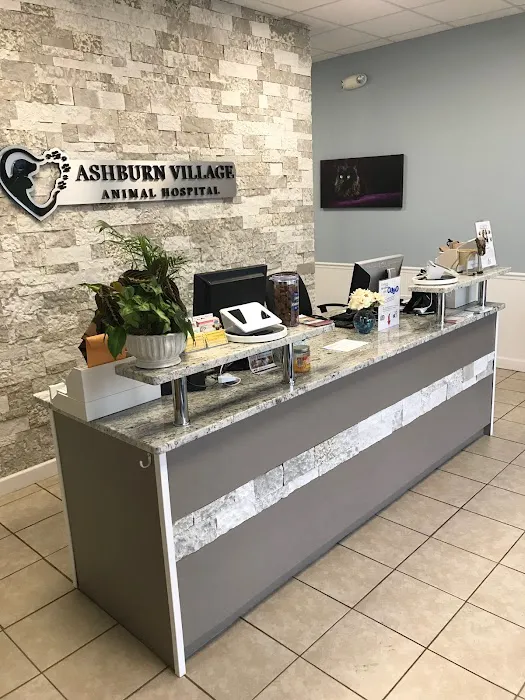 Ashburn Village Animal Hospital 12