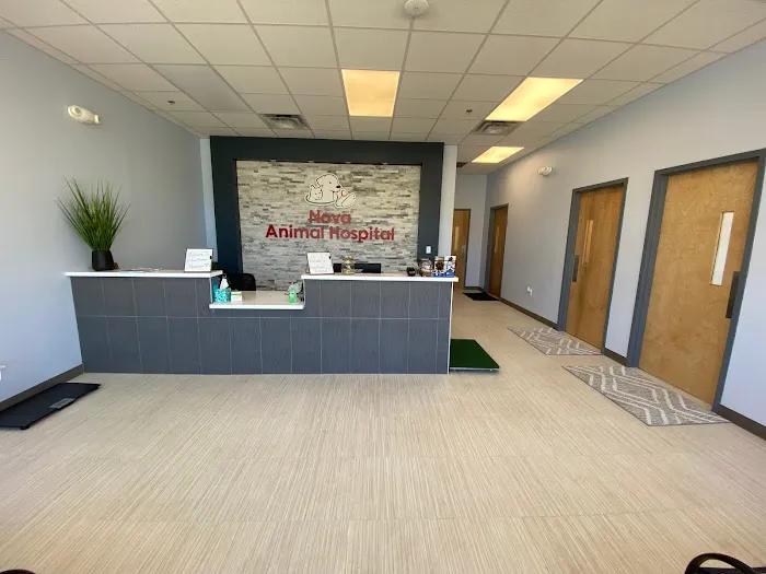 Nova Animal Hospital 3