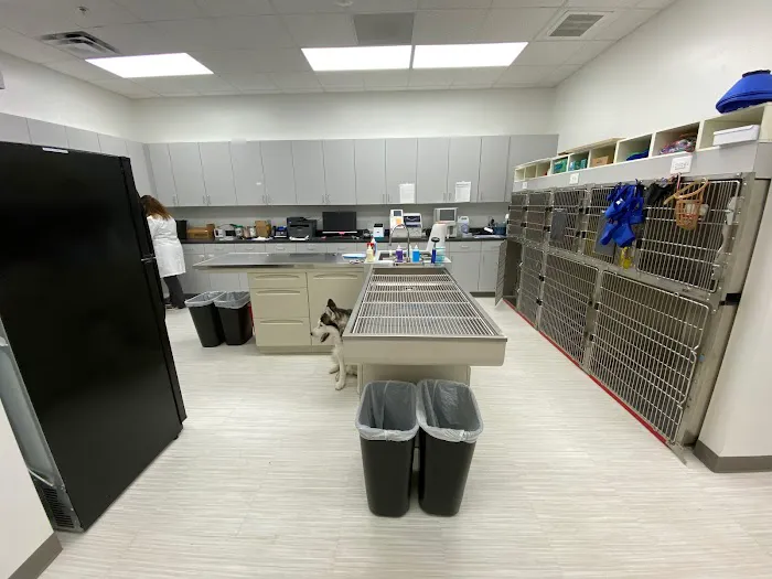 Nova Animal Hospital 7