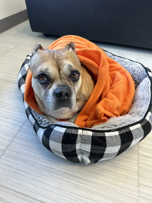 Nova Animal Hospital 9