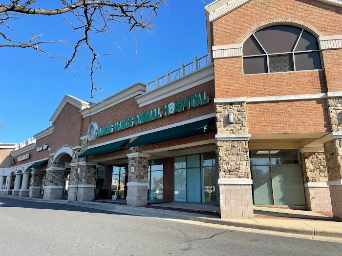 Caring Hands Animal Hospital - Ashburn 2