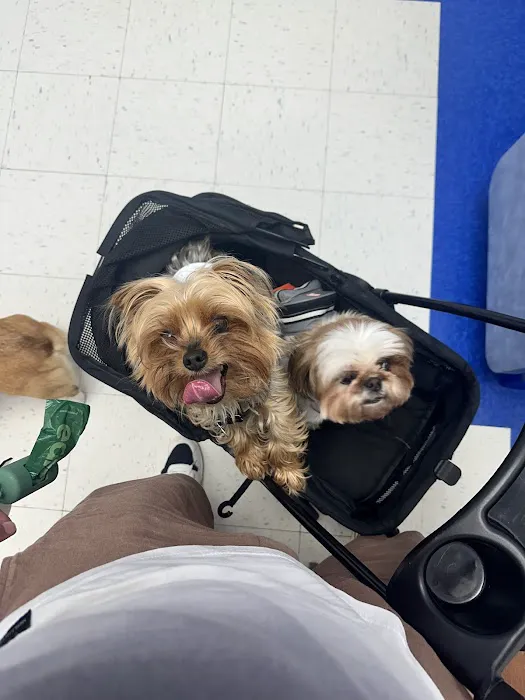 Caring Hands Animal Hospital - Ashburn 4