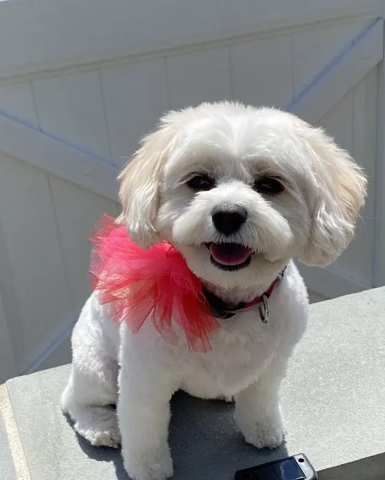 Loudoun Valley Animal Hospital 8