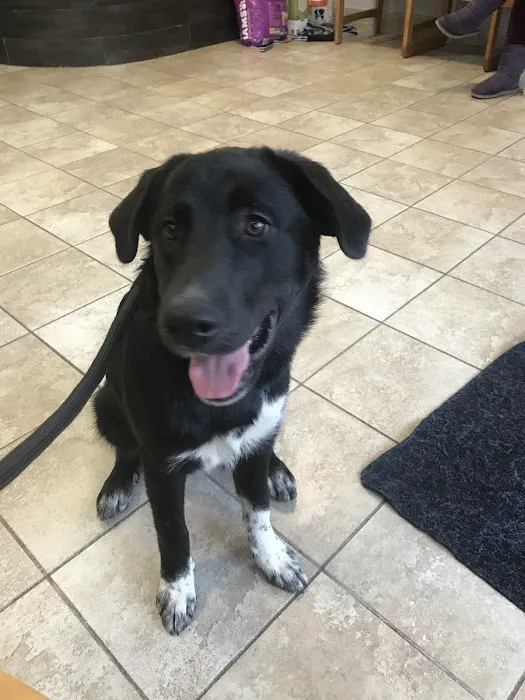 Loudoun Valley Animal Hospital 9