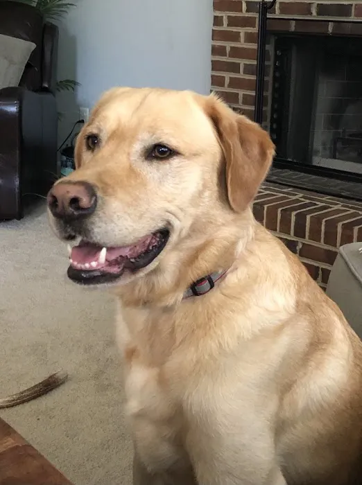 Loudoun Valley Animal Hospital 3