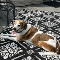 Ashburn Veterinary Hospital ico