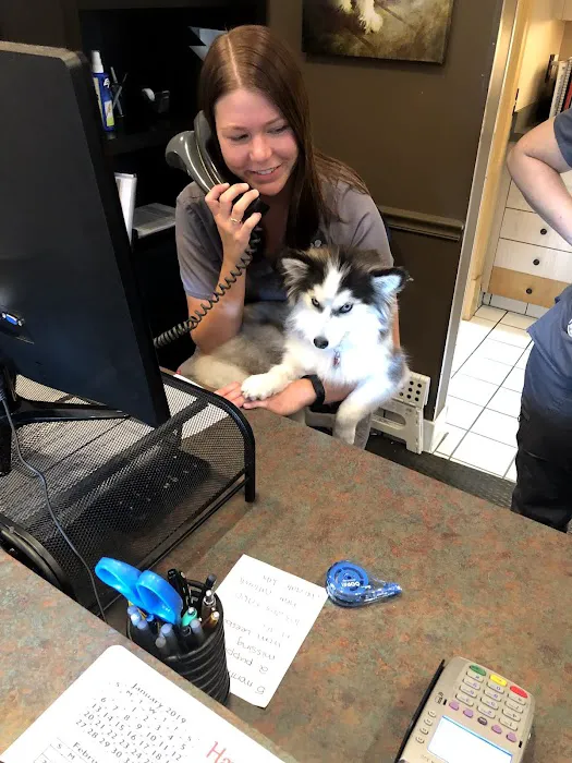 Ashburn Veterinary Hospital 7