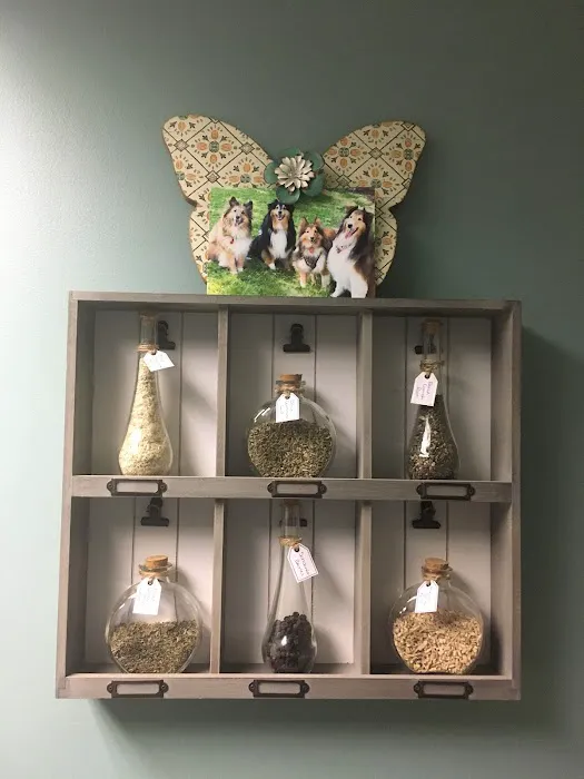 Wholistic Paws Veterinary Services 1
