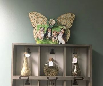 Wholistic Paws Veterinary Services