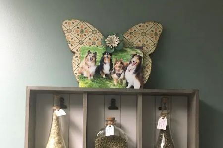 Wholistic Paws Veterinary Services