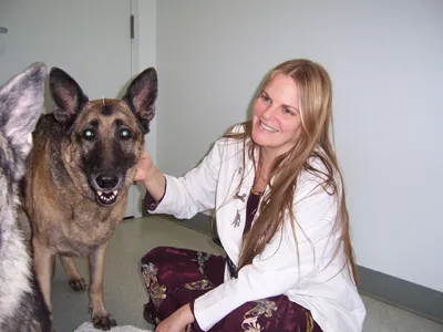 Animal Medical Centers of Loudoun - Ashburn 5