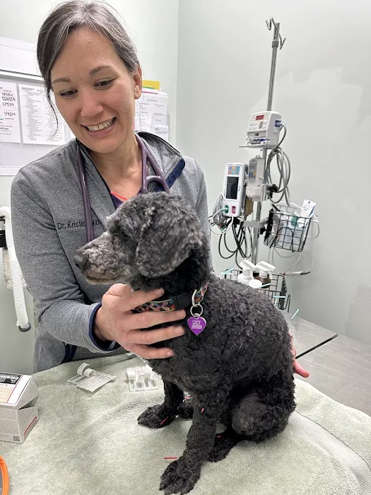 Animal Medical Centers of Loudoun - Ashburn 1