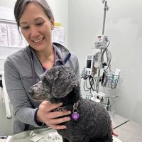 Animal Medical Centers of Loudoun - Ashburn ico