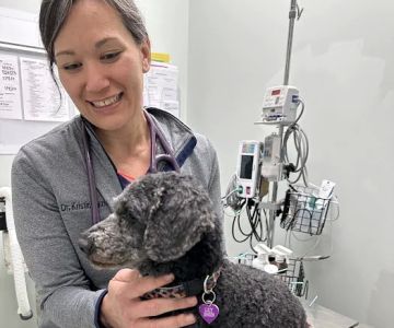 Animal Medical Centers of Loudoun - Ashburn