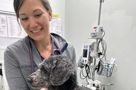 Animal Medical Centers of Loudoun - Ashburn