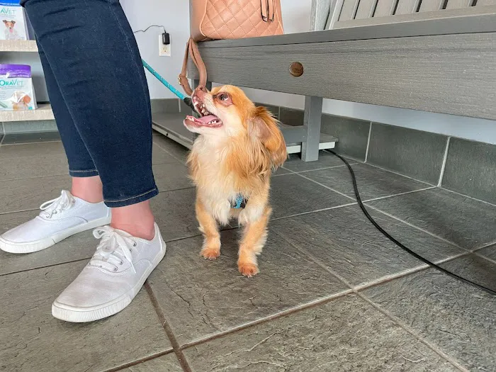 Animal Medical Centers of Loudoun - Ashburn 7