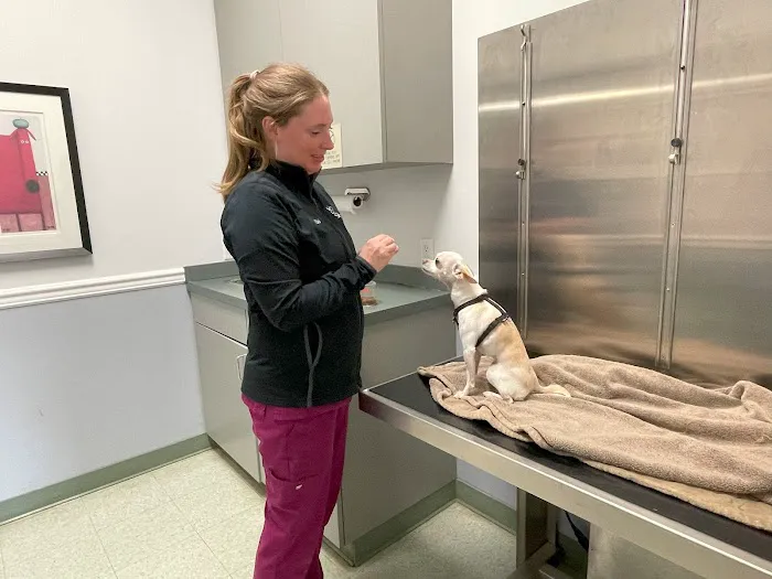 Animal Medical Centers of Loudoun - Ashburn 6