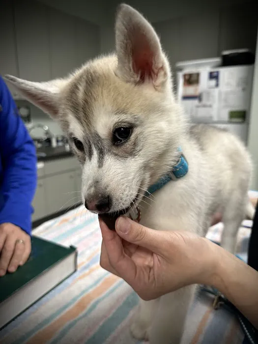 Animal Medical Centers of Loudoun - Ashburn 4