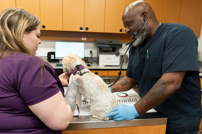 PetSmart Veterinary Services - Bristow (South Manassas) 1