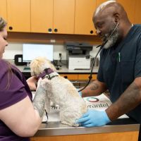 PetSmart Veterinary Services - Bristow (South Manassas) ico
