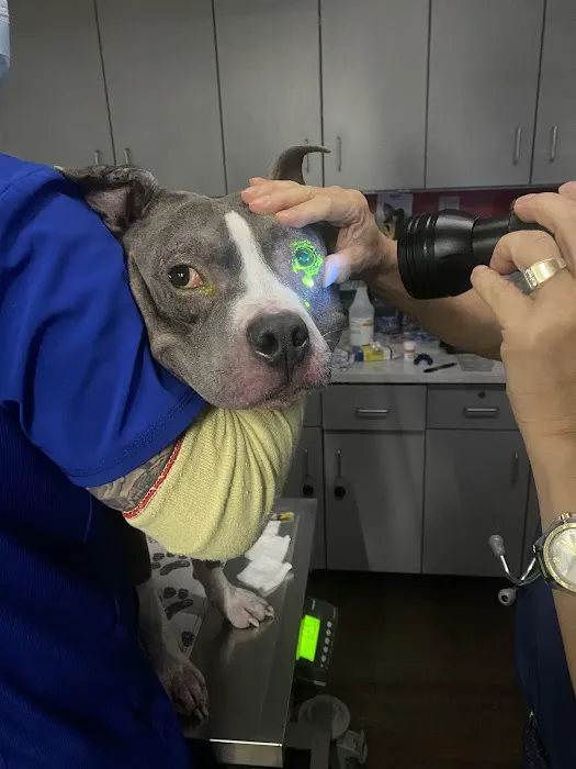 PetVet Vaccination Clinic 1
