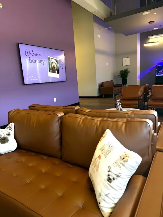 Summit Veterinary Care 10