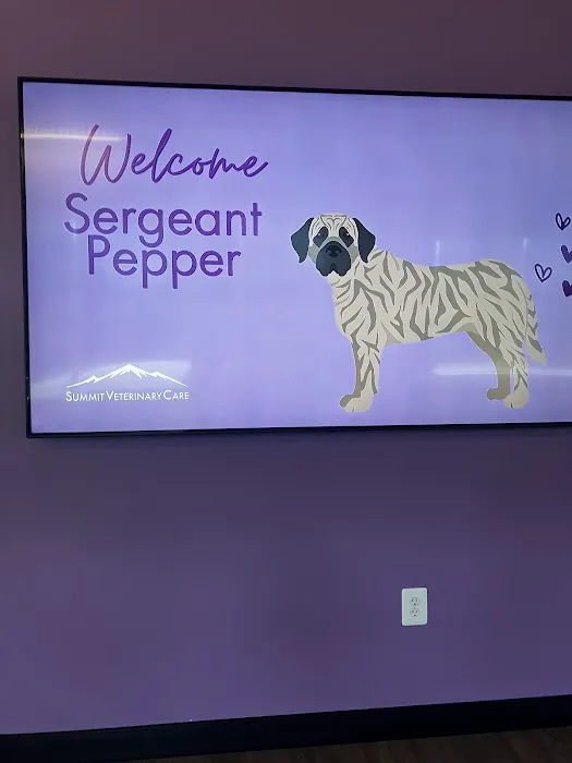 Summit Veterinary Care 3