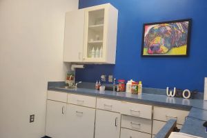 Caring Hands Animal Hospital - Bristow
