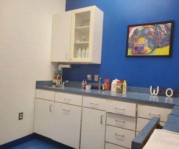 Caring Hands Animal Hospital - Bristow