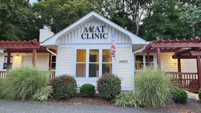 A Cat Clinic 2