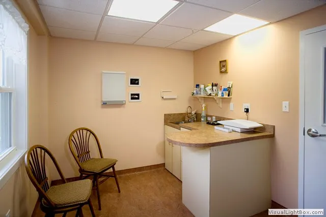A Cat Clinic 1