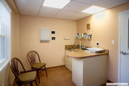 A Cat Clinic