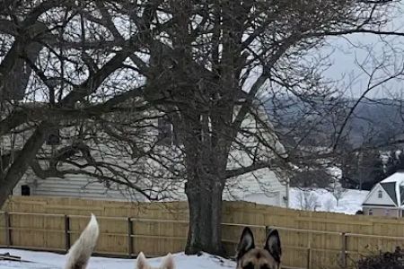 Bennett Creek Animal Hospital + PET Urgent Care