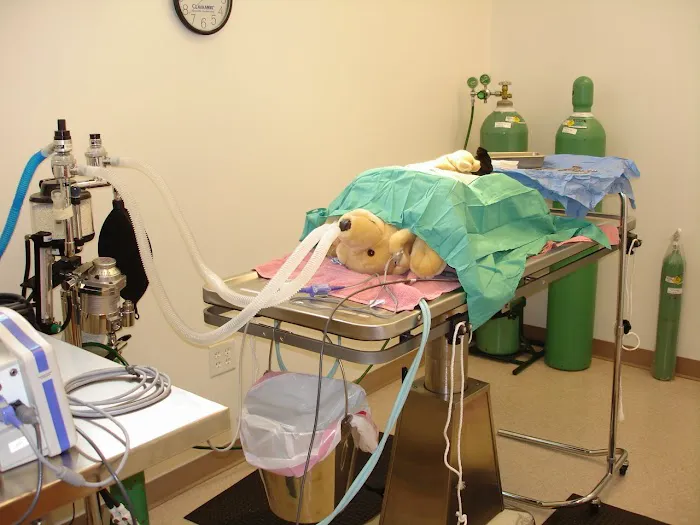 Clarksburg Animal Hospital 3