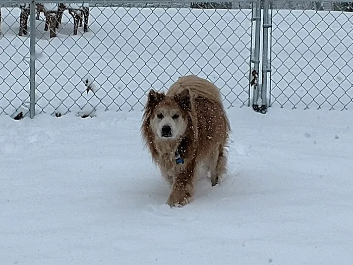 Clarksburg Animal Hospital 5