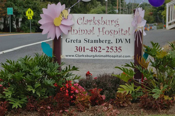 Clarksburg Animal Hospital 4