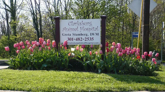 Clarksburg Animal Hospital 7
