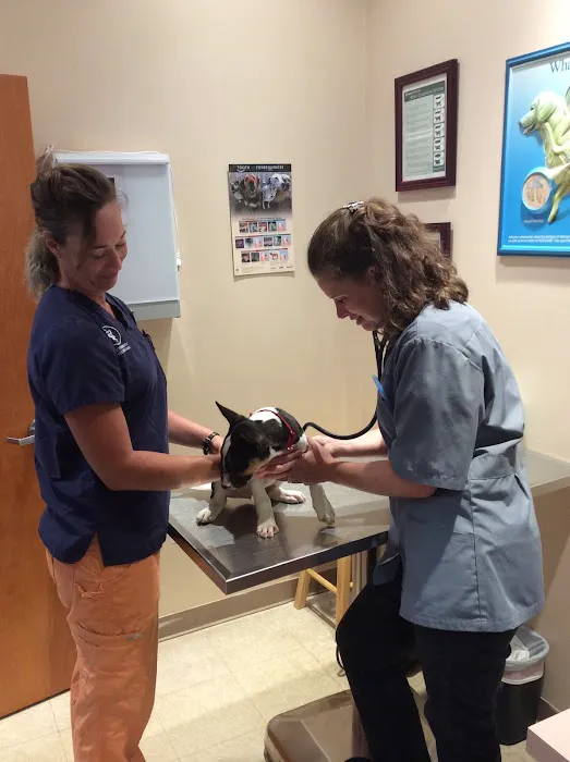 Clarksburg Animal Hospital 1