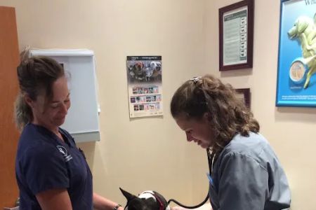 Clarksburg Animal Hospital