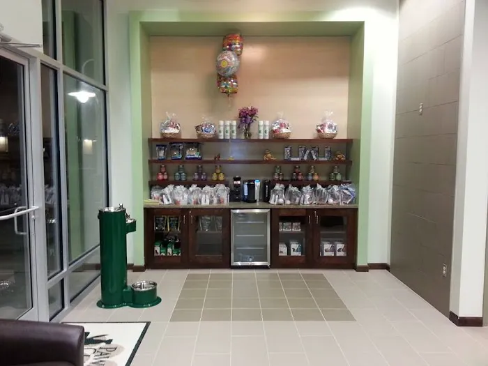 Paws and Claws Animal Hospital 6