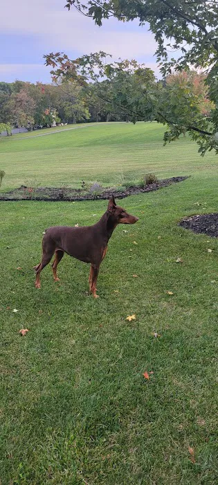 Four County Animal Hospital 12
